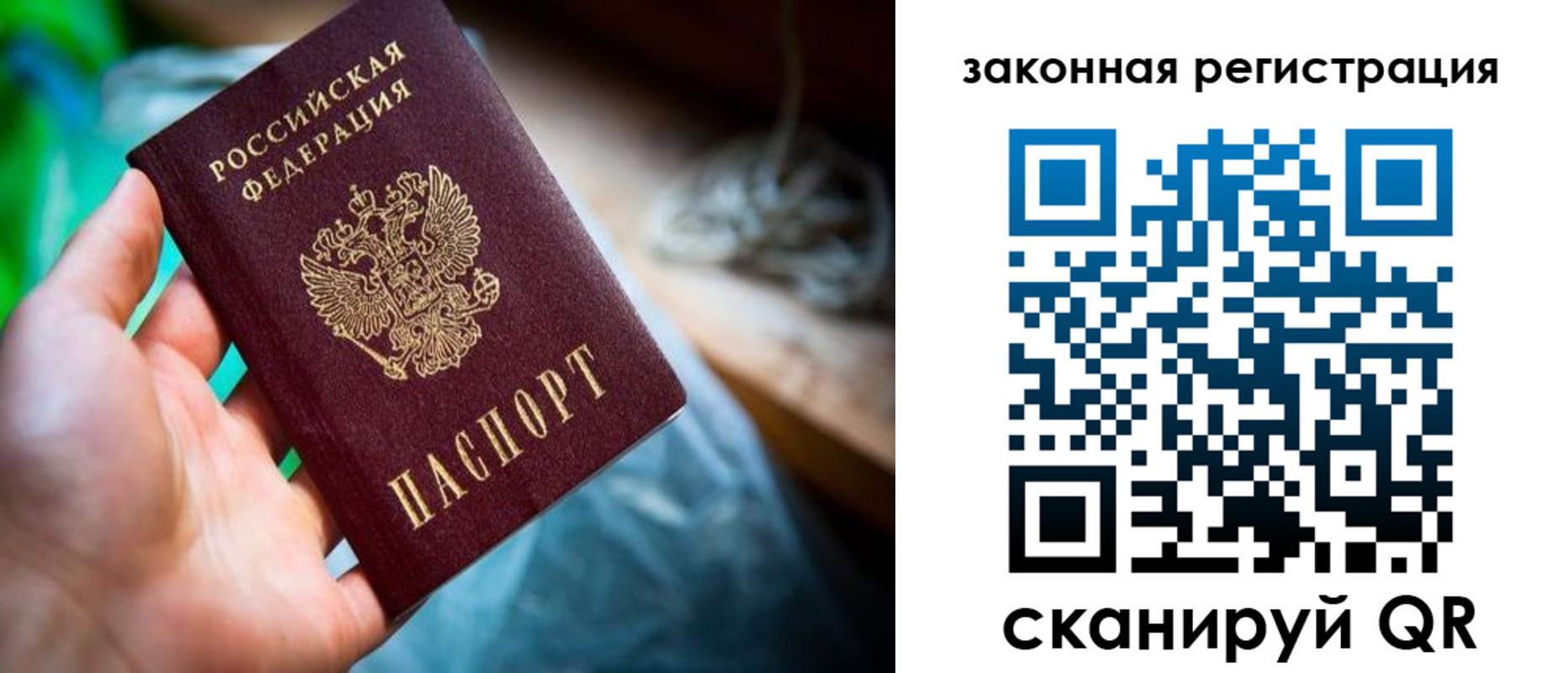прописка в Краснознаменске